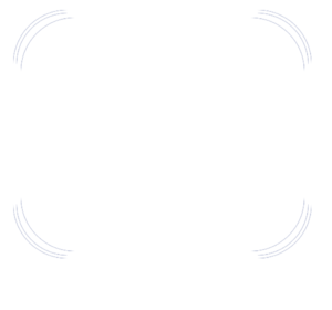 Waste Transfer Partners white logo